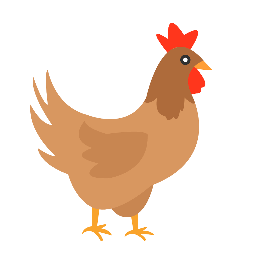 닭 일러스트 PNG